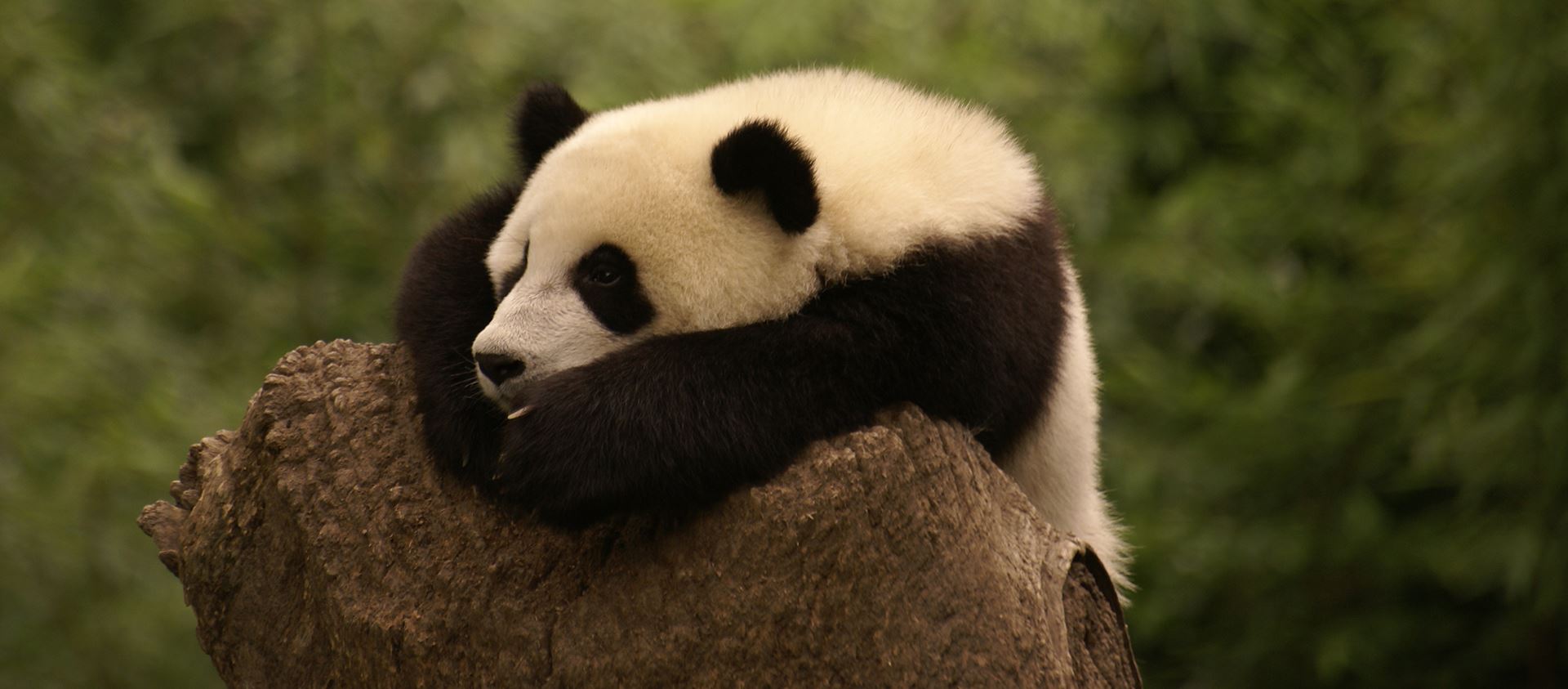 China Höhepunkte mit Tibetbahn von Xining nach Lhasa